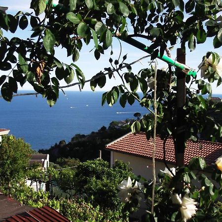 Le Mimose Vila Vietri Exterior foto