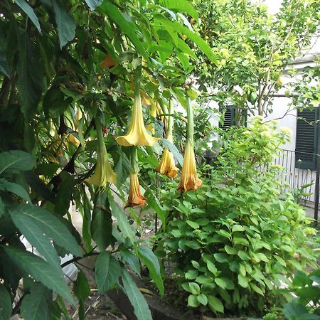 Le Mimose Vila Vietri Exterior foto