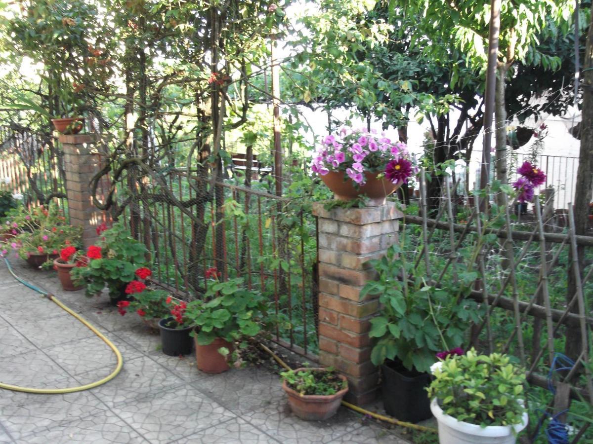 Le Mimose Vila Vietri Exterior foto