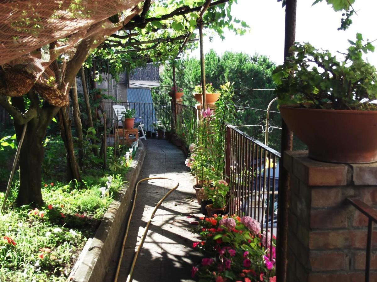 Le Mimose Vila Vietri Exterior foto