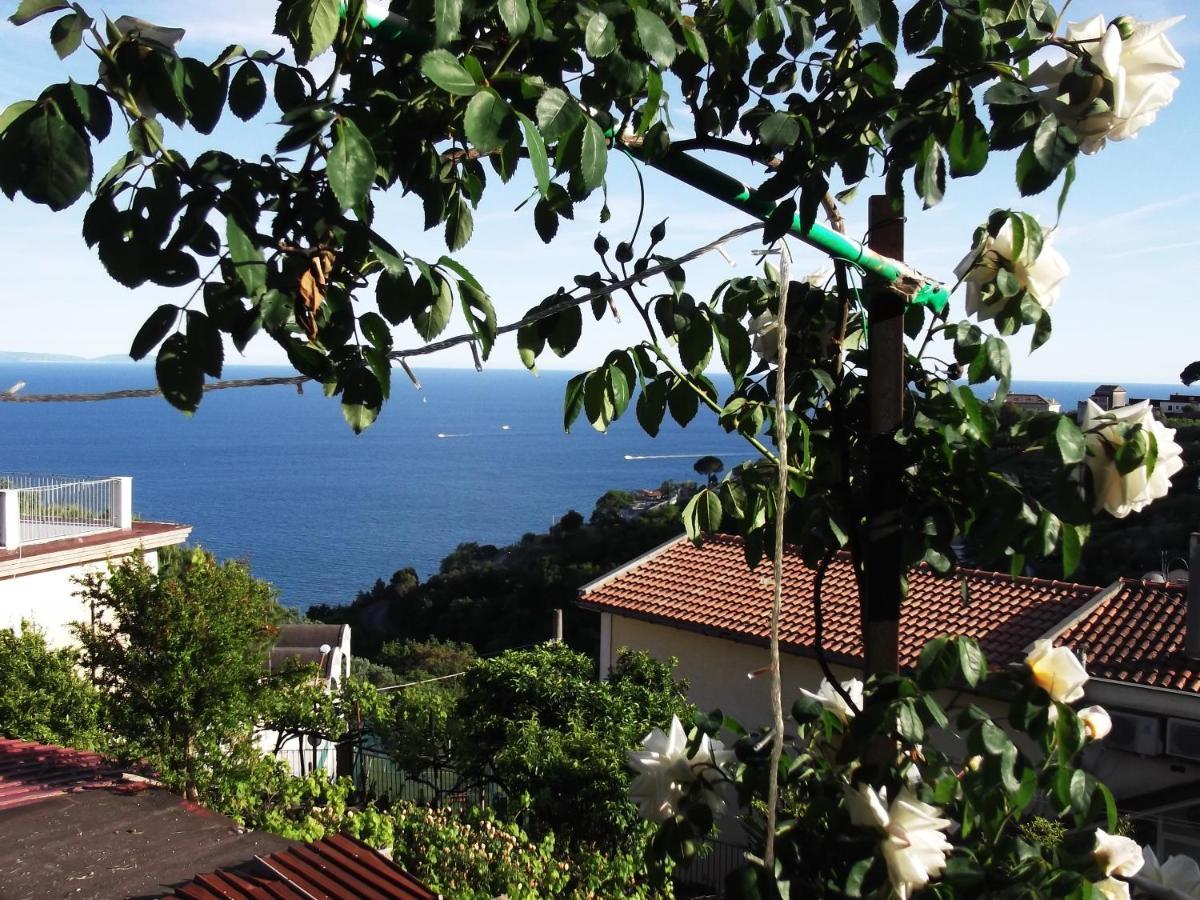 Le Mimose Vila Vietri Exterior foto