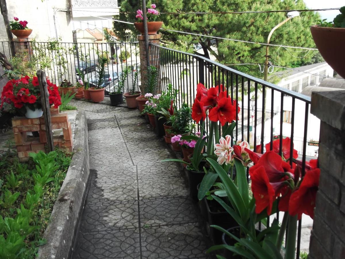 Le Mimose Vila Vietri Exterior foto