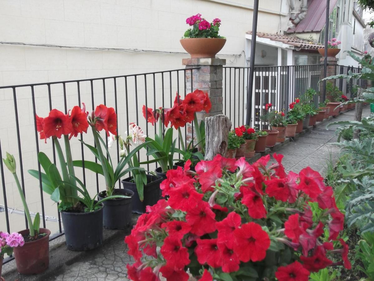 Le Mimose Vila Vietri Exterior foto