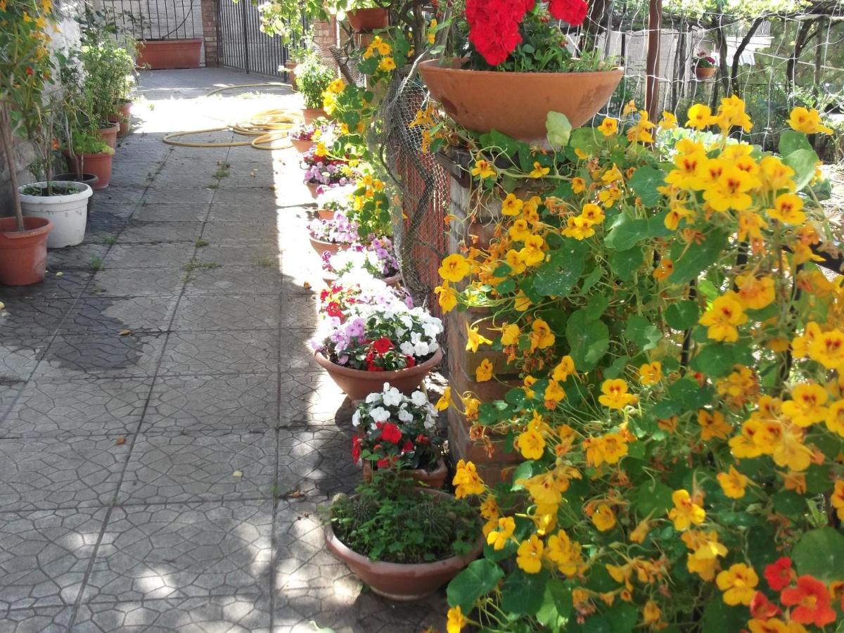 Le Mimose Vila Vietri Exterior foto