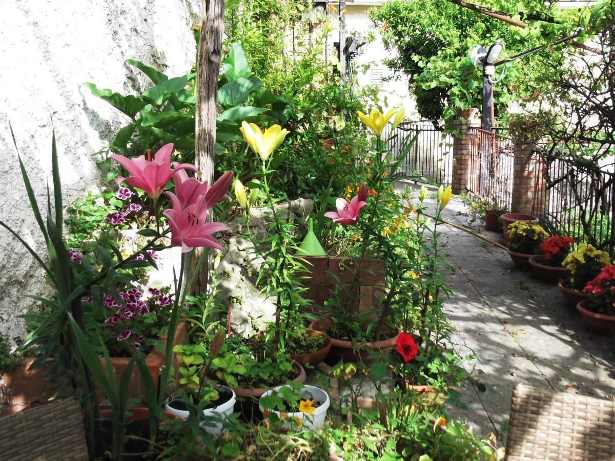 Le Mimose Vila Vietri Exterior foto