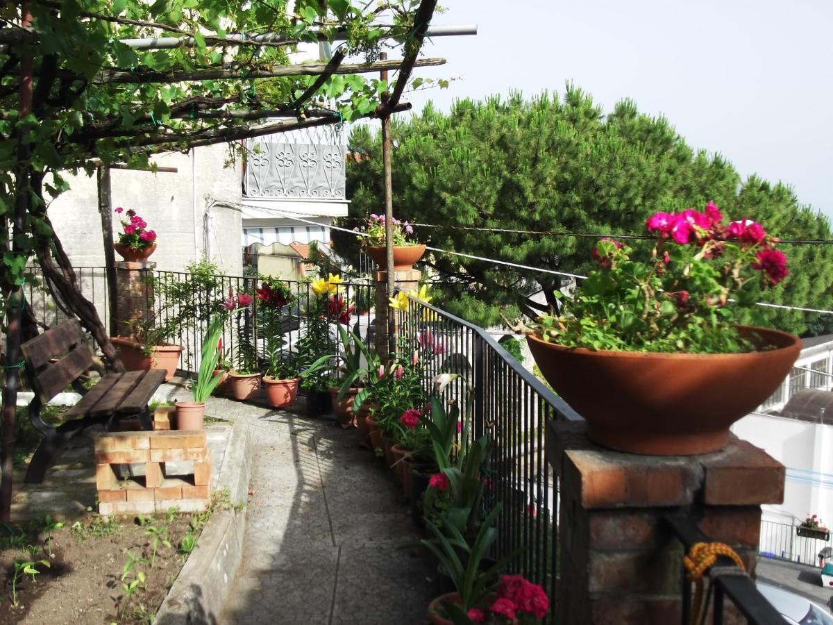 Le Mimose Vila Vietri Exterior foto