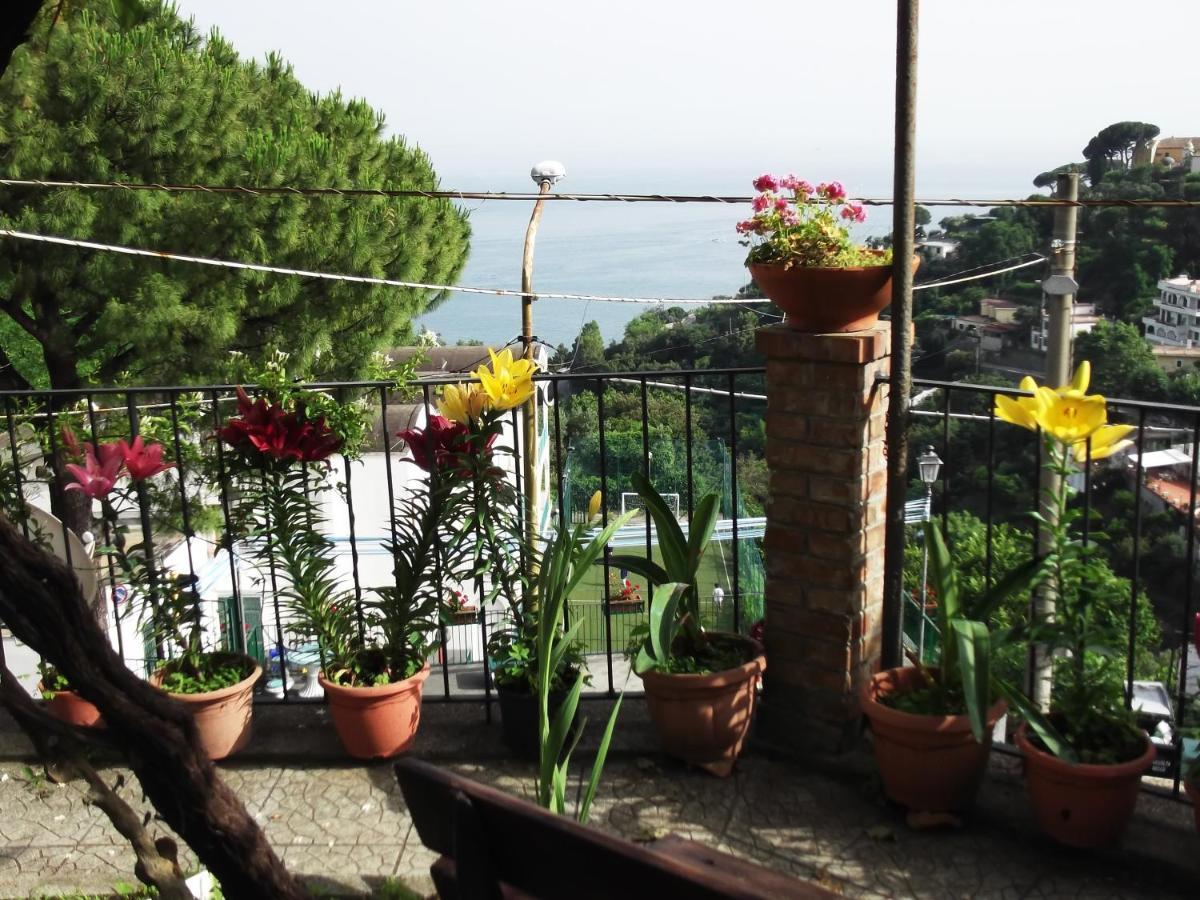 Le Mimose Vila Vietri Exterior foto