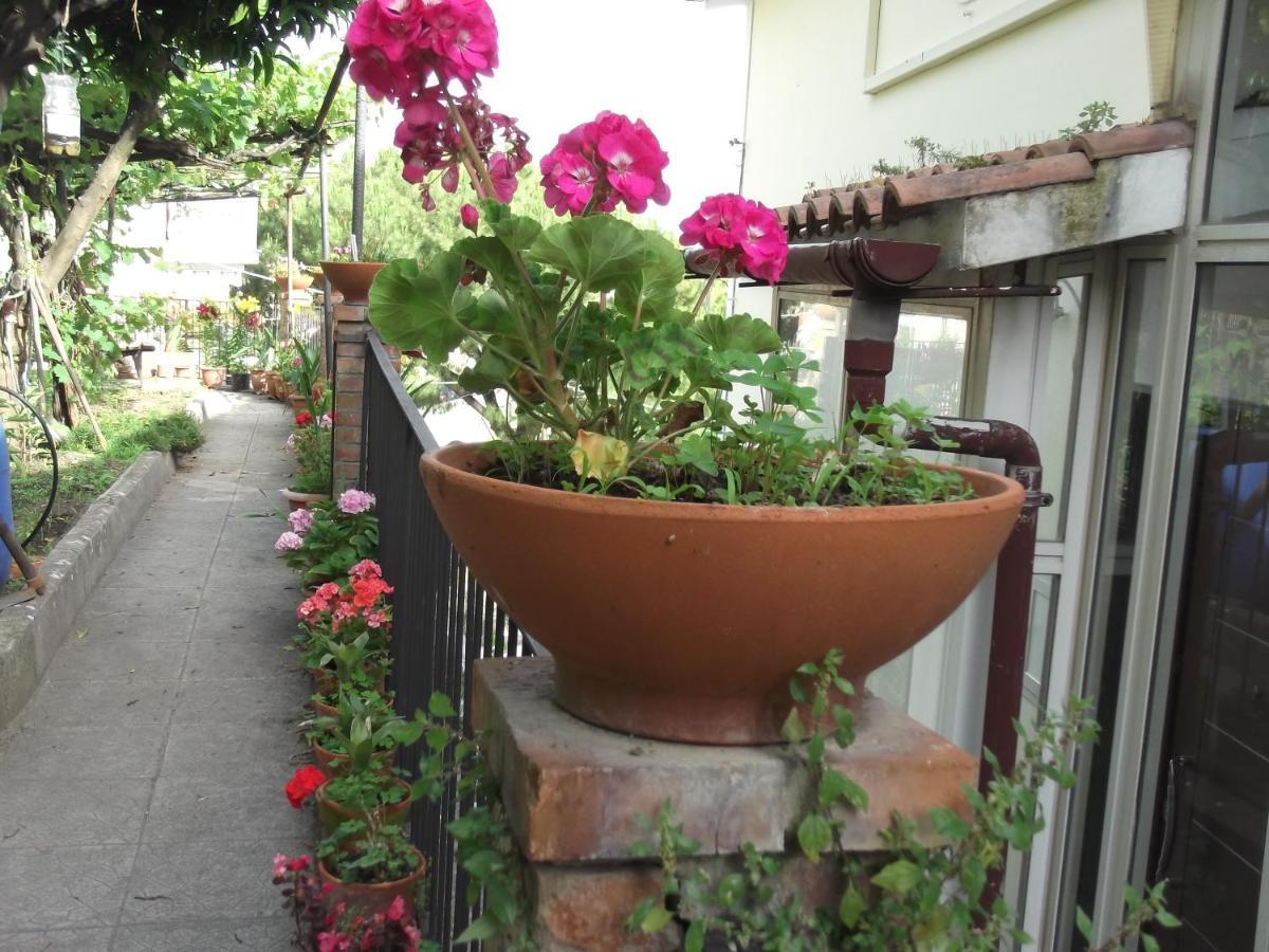 Le Mimose Vila Vietri Exterior foto