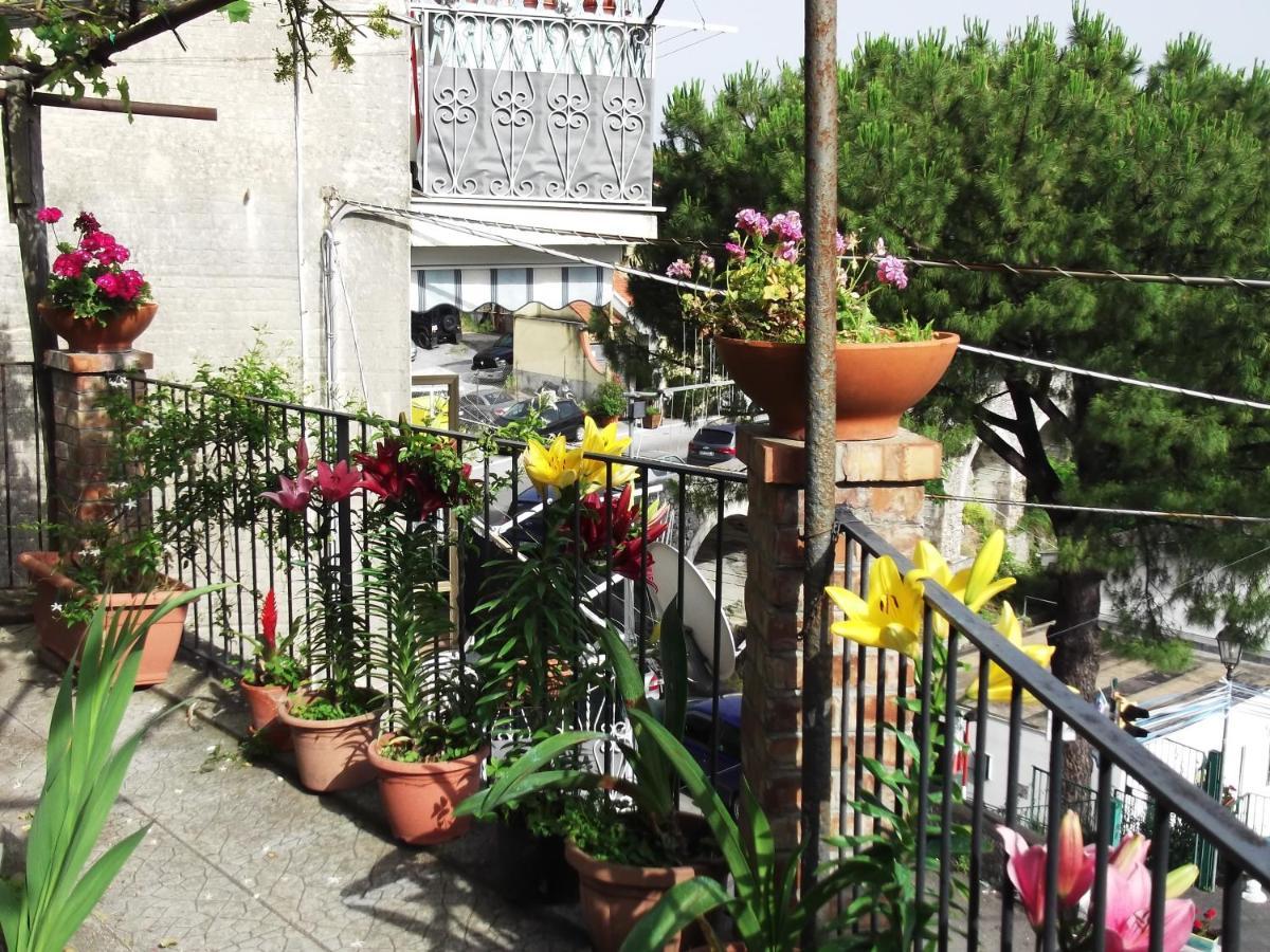 Le Mimose Vila Vietri Exterior foto