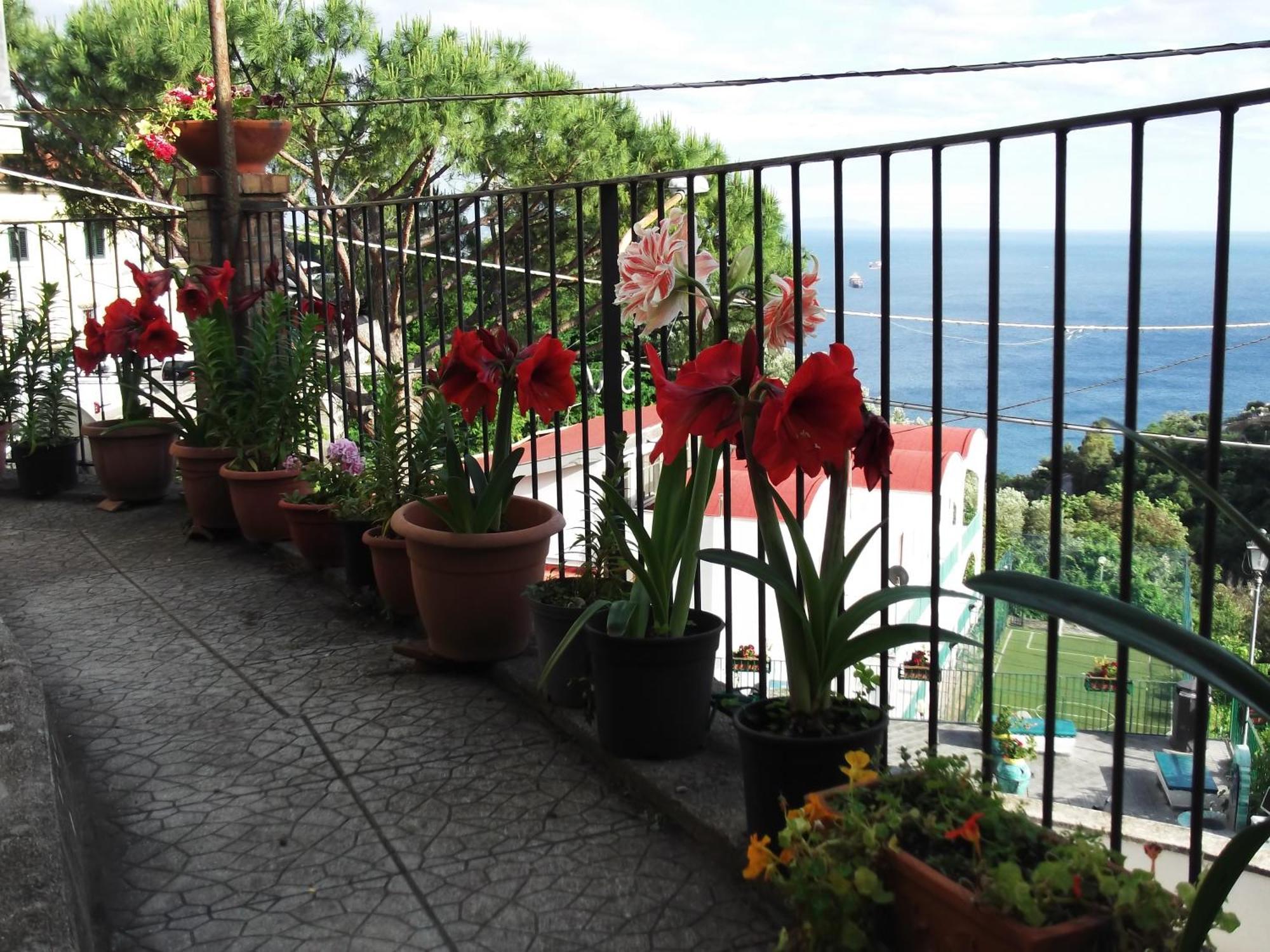 Le Mimose Vila Vietri Exterior foto