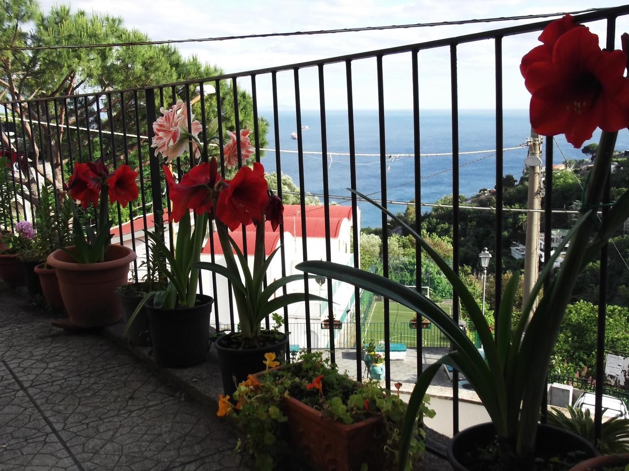 Le Mimose Vila Vietri Exterior foto