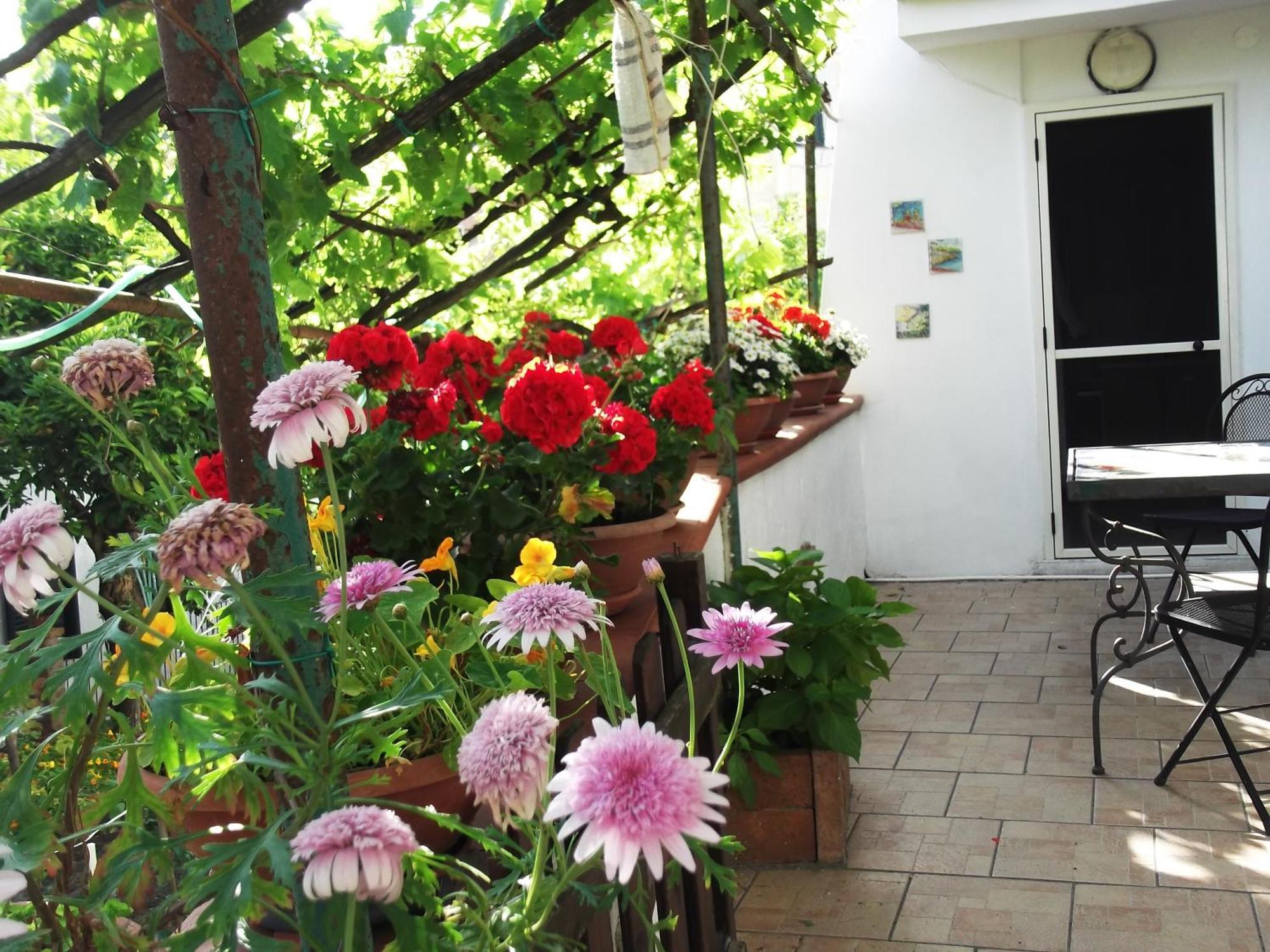 Le Mimose Vila Vietri Exterior foto