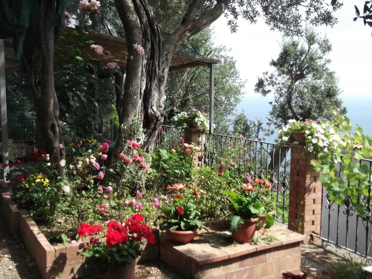 Le Mimose Vila Vietri Exterior foto
