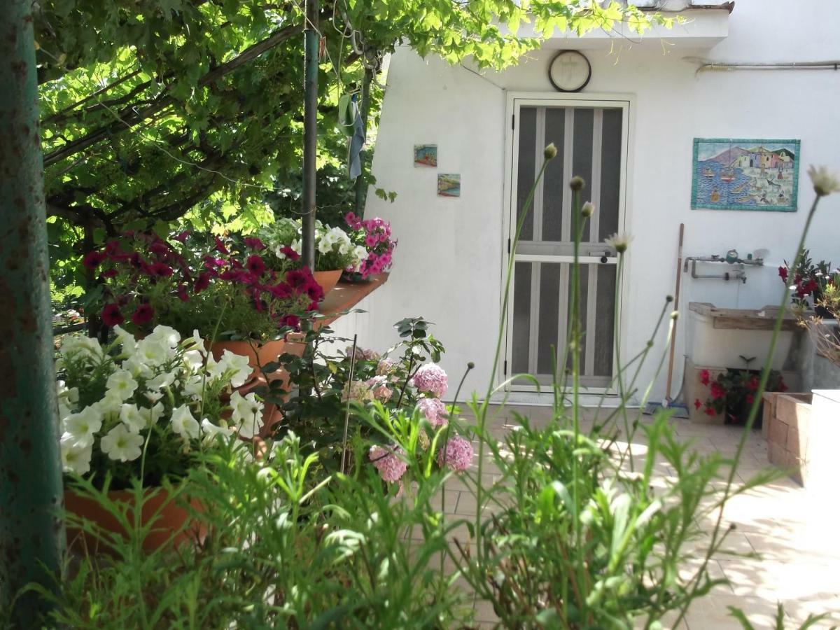 Le Mimose Vila Vietri Exterior foto