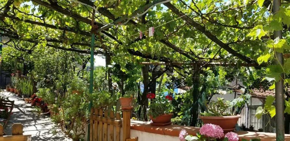 Le Mimose Vila Vietri Exterior foto